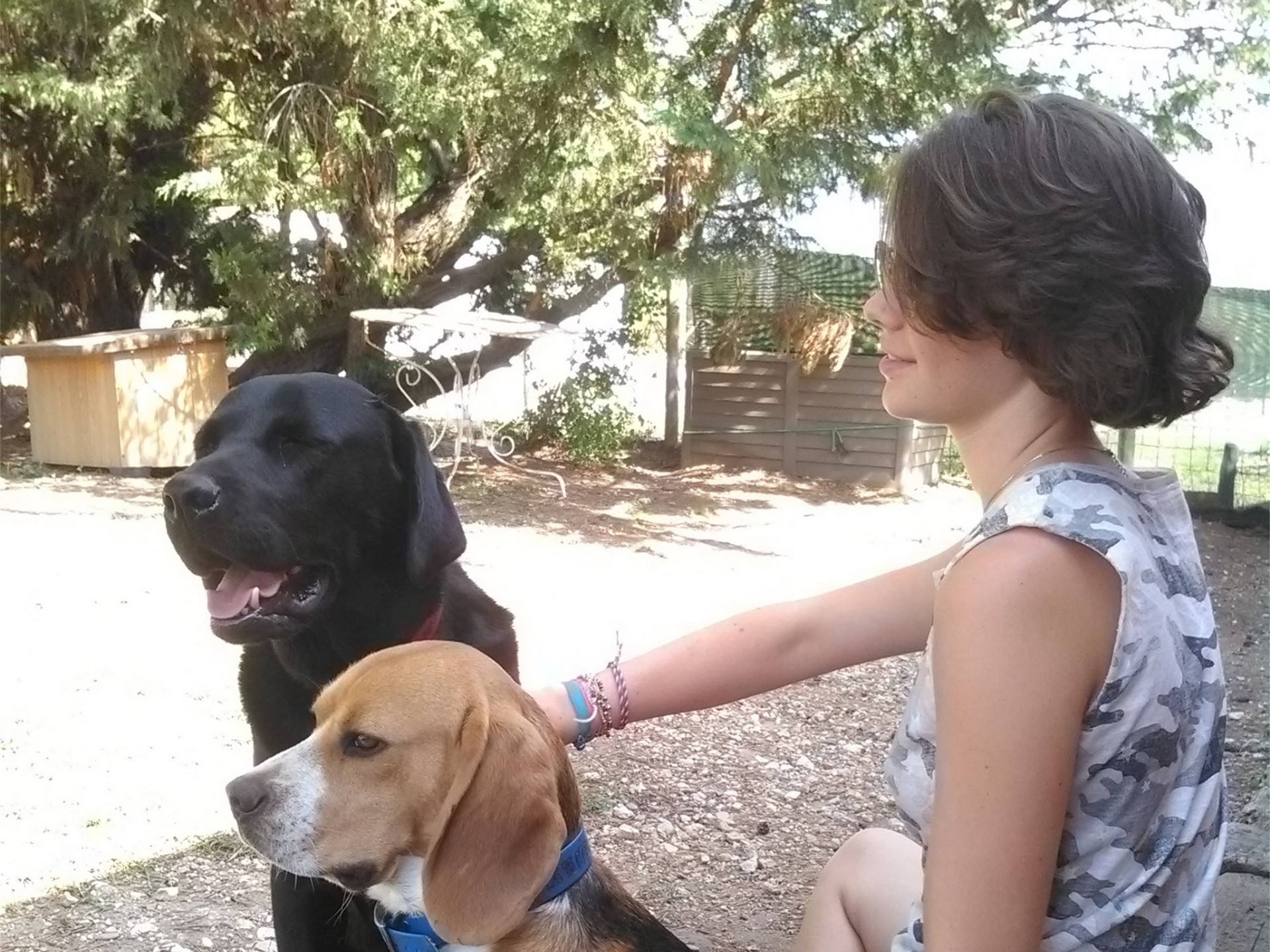 Les poneys et l'enfant