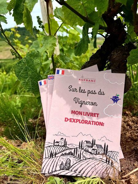 Balade pédagogique Sur les Pas du Vigneron_Fleurie