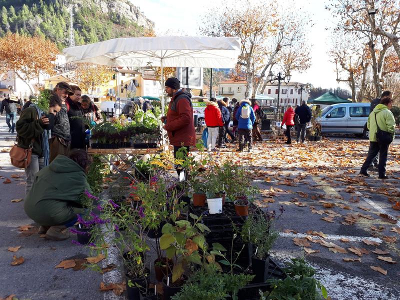 Fête de larbre et du fruit - Syndicat Agricole de la haute Vallée du Var