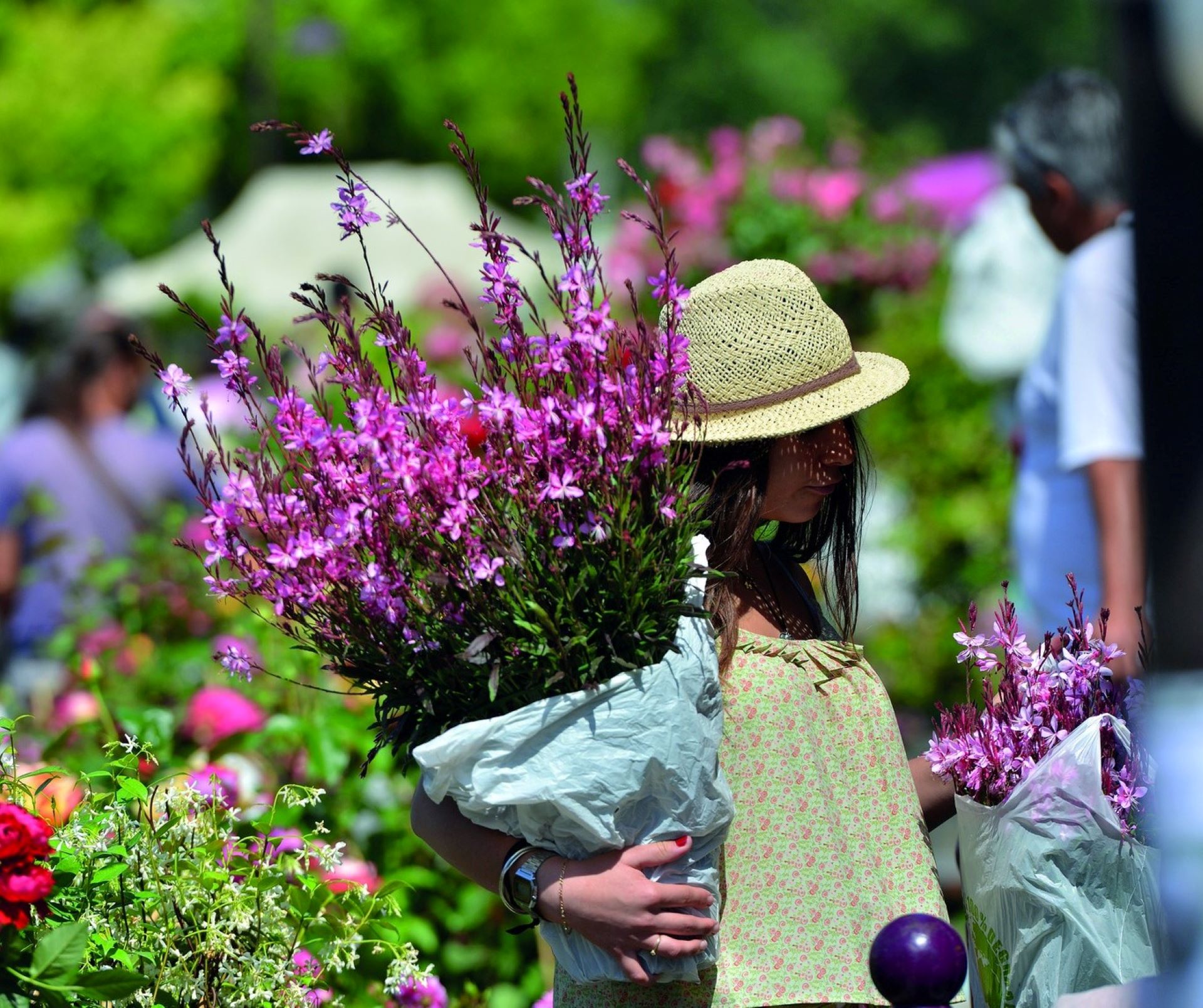 43ème Marché aux fleurs