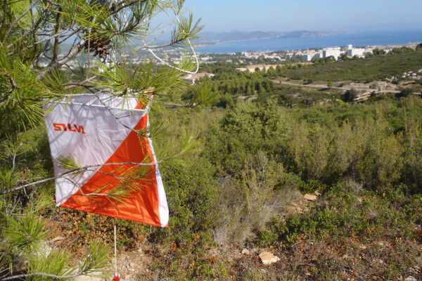 Course d'orientation dans la campagne Pastré
