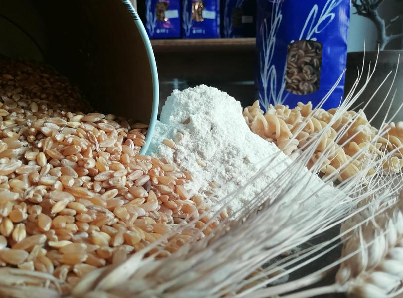 Ferme Duclos-Gonet - producteurs à Crémieu à moins d'une heure de Lyon aux Balcons du Dauphiné - Nord Isère