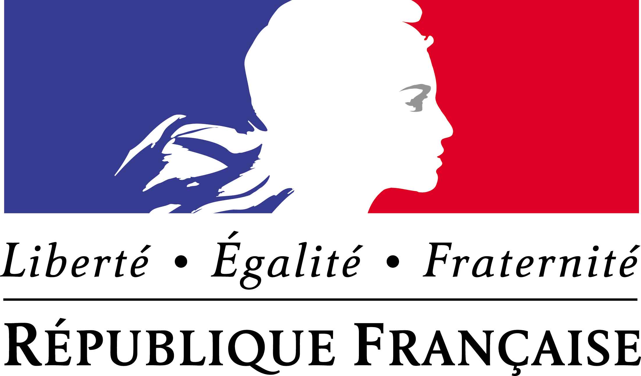 Drapeau République Française