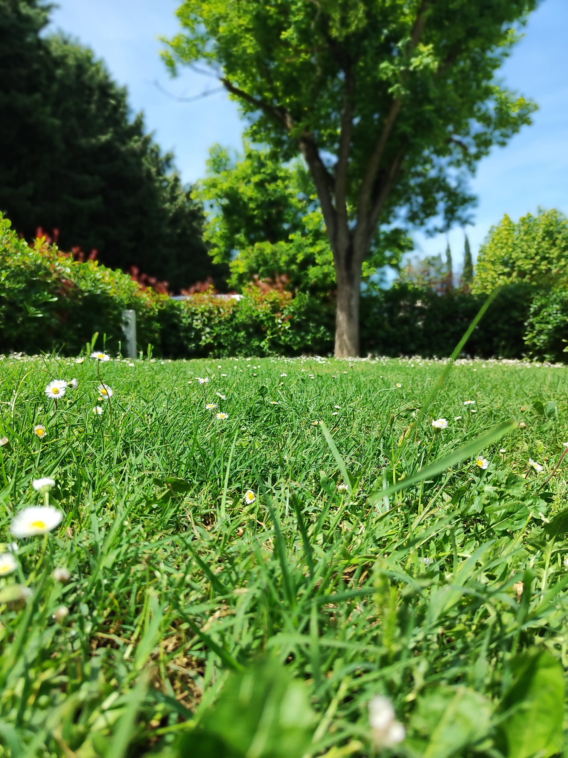 Camping Porte des Alpilles