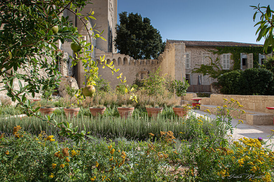 Jardins du Palais des papes
