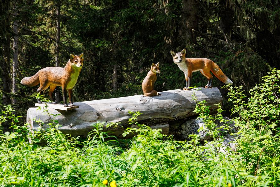 B14 - Les alpages de l'Altiport_Méribel