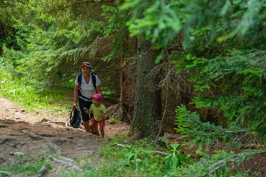 Chalets de la Fullie