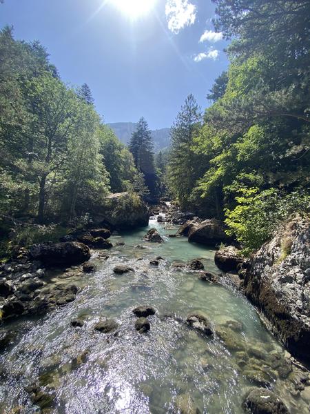 Sources des Gillardes