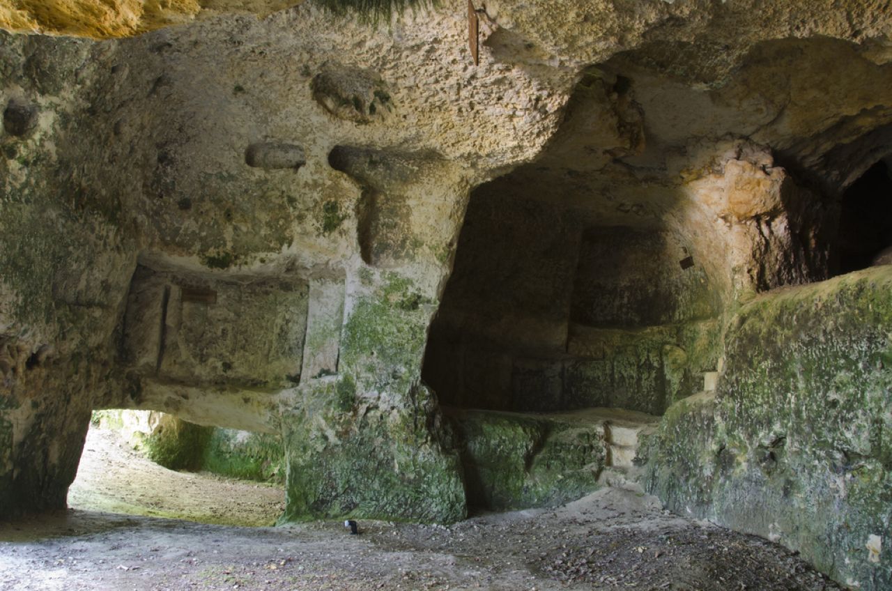 Visite du site féodal