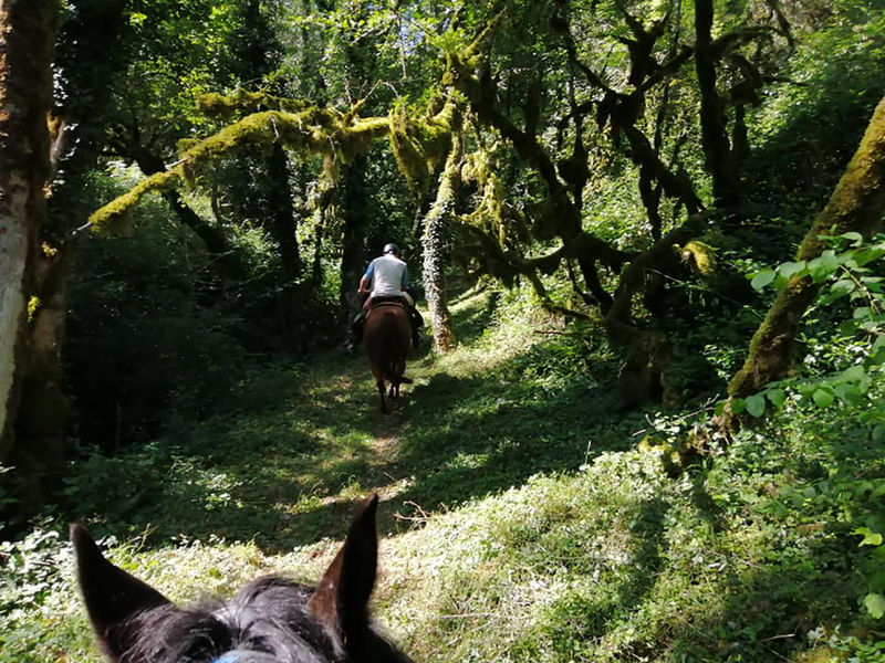 Circuit des Côteaux du Revermont