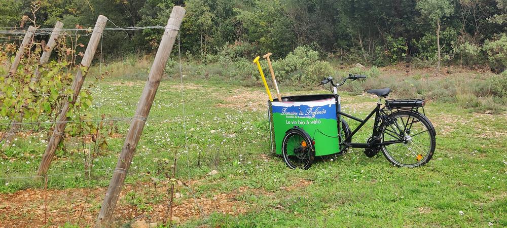 Domaine du Deffends_Saint-Maximin-la-Sainte-Baume