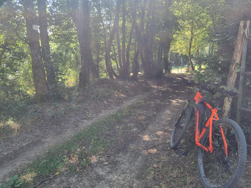 Les grandes terres de Marboz