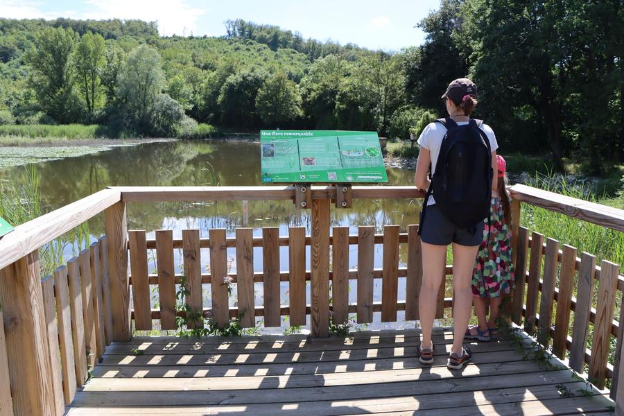 Balade en famille autour de l'étang de Chalignieu_Chozeau