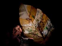 L'arbre et l'oiseau_Montrond-les-Bains