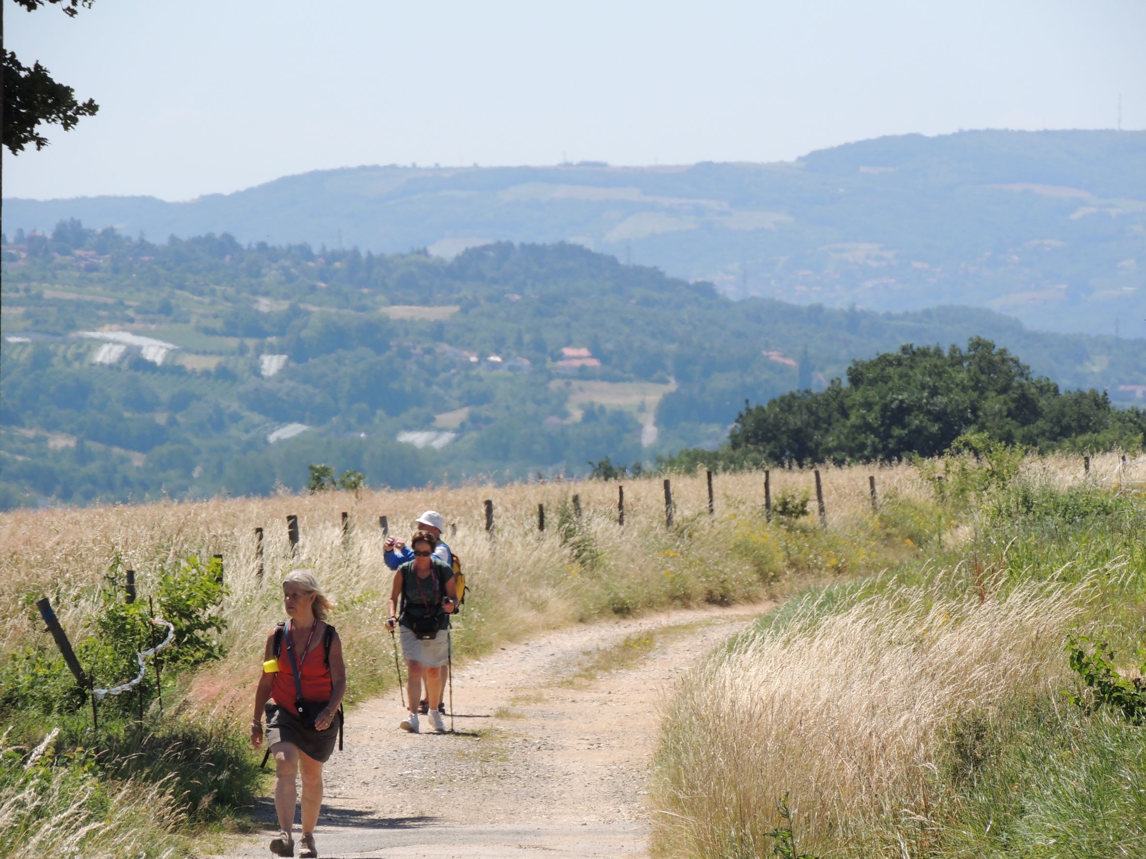 En haut de la Boirie