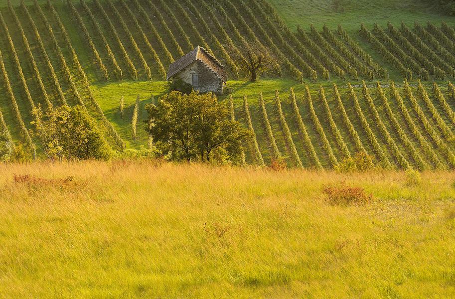 Excursion : Du vignoble de Cerdon à la Vallée de l'Ain_Cerdon
