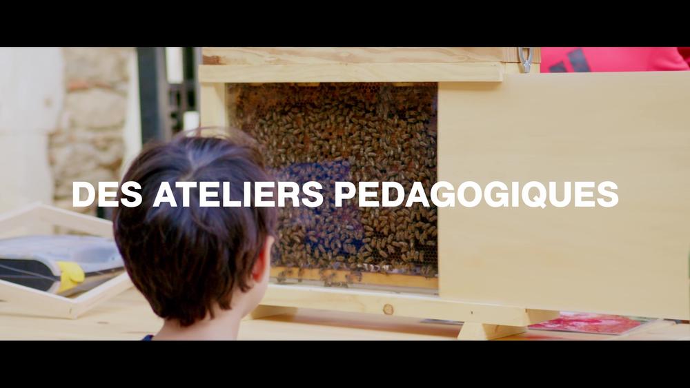 Des animations authentiques !