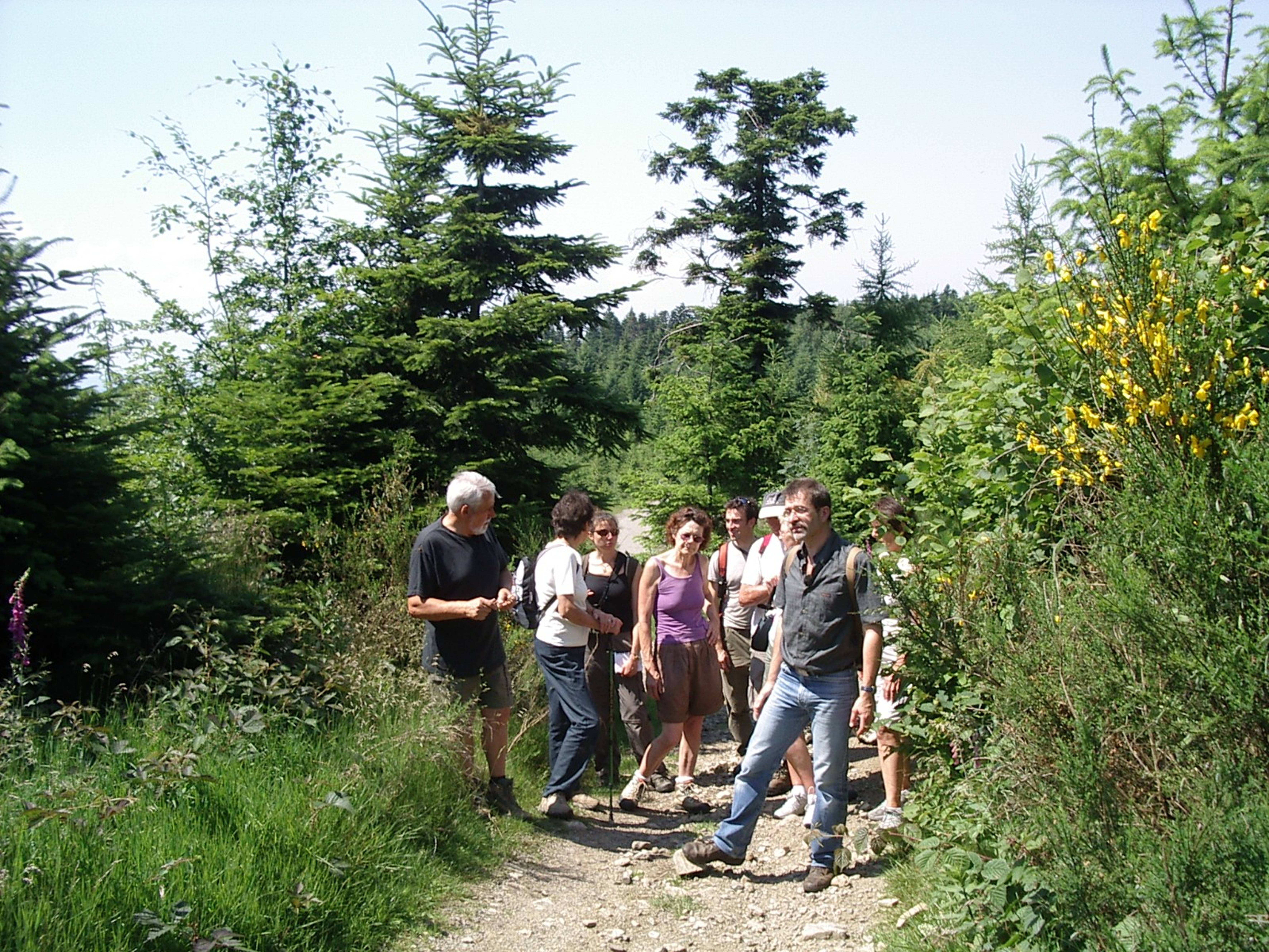 Un jardin de chez nous