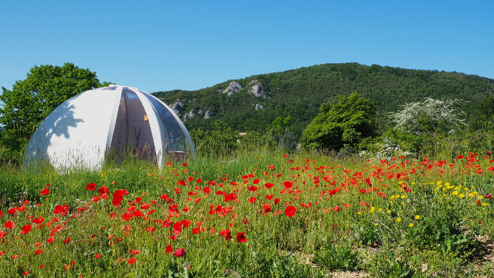 Le wigwam bulle Lavande. Izon Nature, hébergements et table d'hôtes insolites dans la Drôme provençale