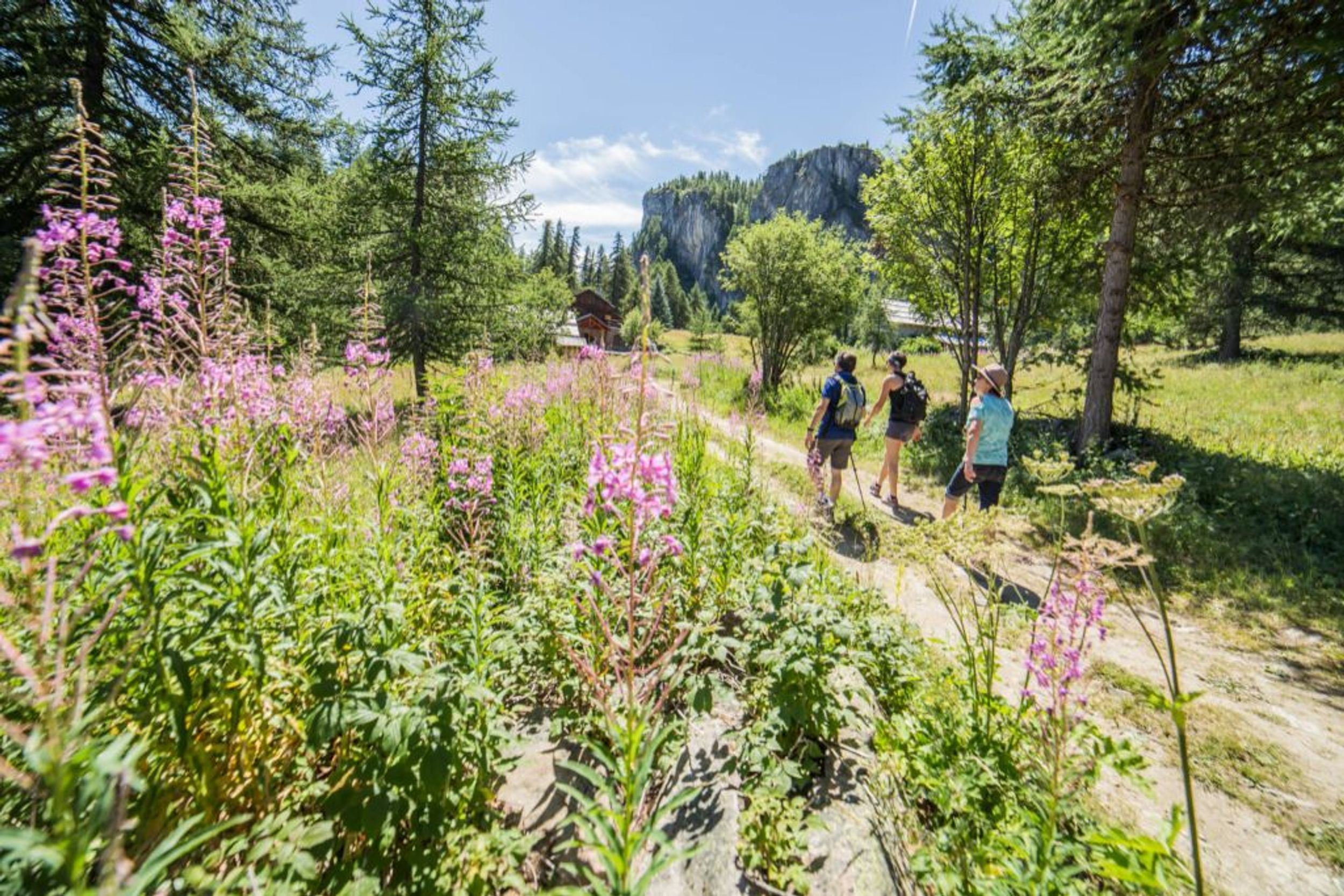 The Col de la Pousterle  (trail route no. 5)