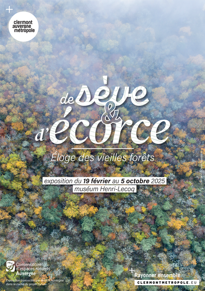 De sève et d'écorce, éloge des vieilles forêts, au Muséum Henri-Lecoq