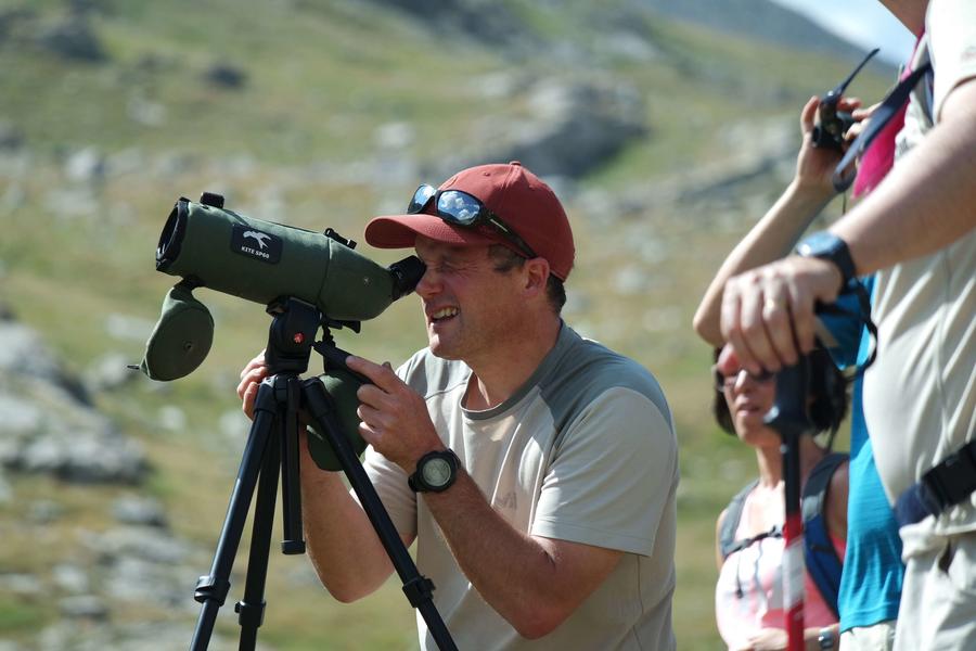 Observation des chamois - © Fugues en Montagne Observation de la faune - © Fugues en Montagne
