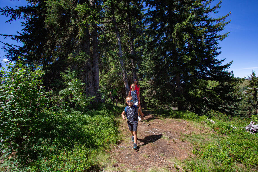 Randonnée en famille