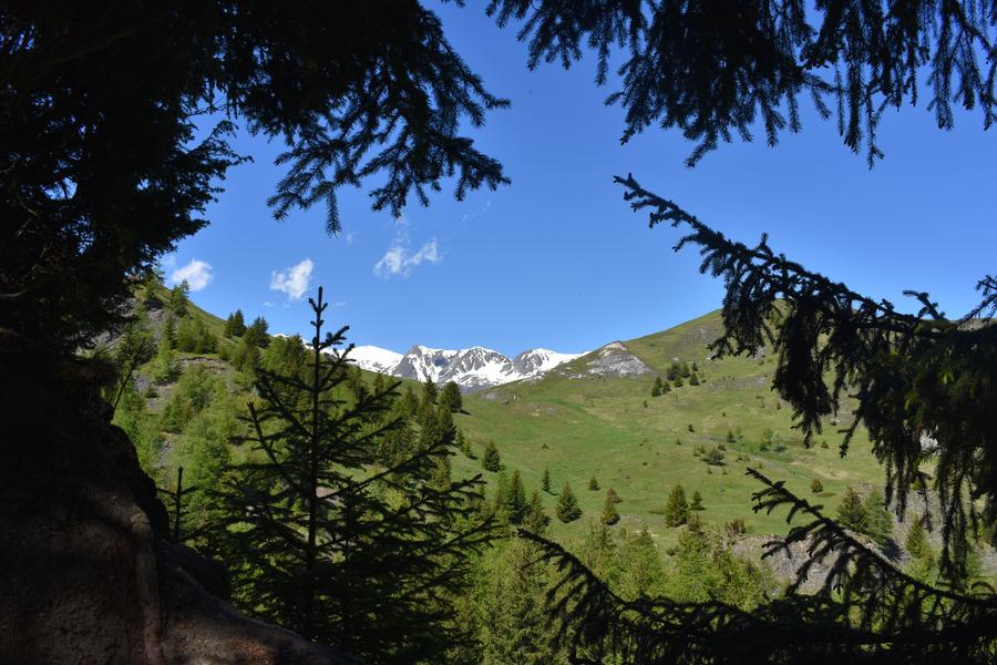 Arboretum de Max_Le Corbier