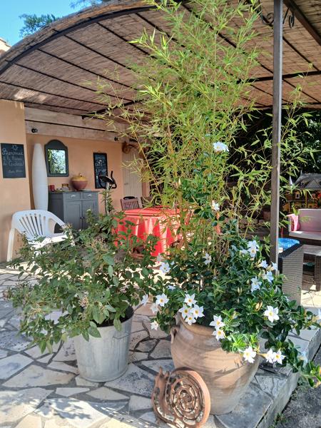 Terrasse chambre Bambous