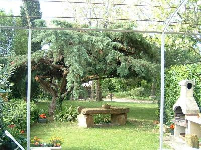 Fleurs de Glais - Bouquet 1, Maillane - photo 7