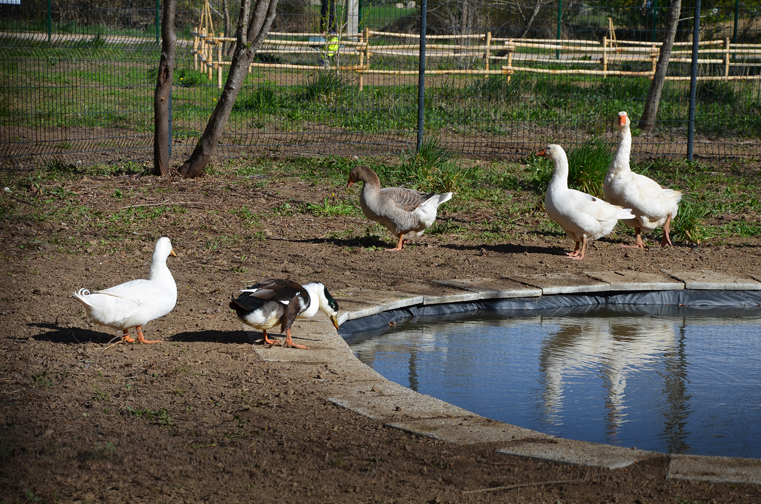 Parc naturel du Vivier - Garéoult