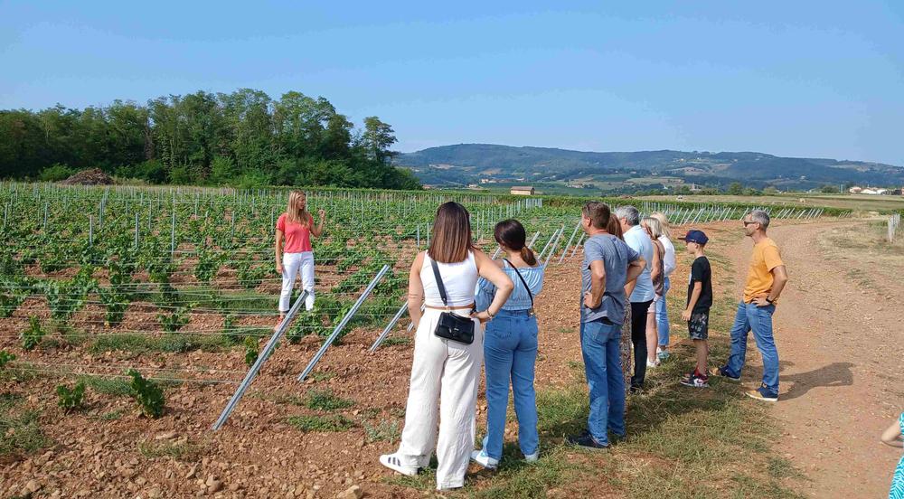 Balade dans les vignes