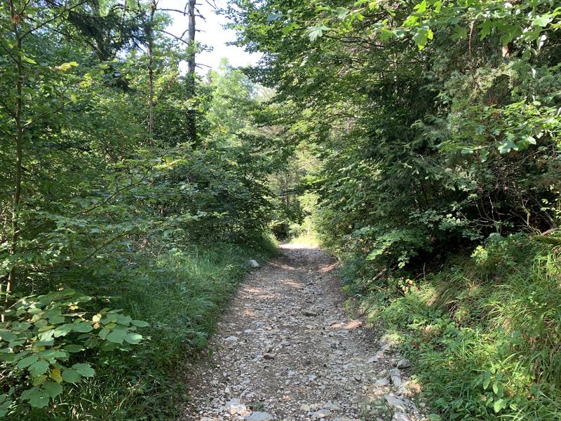 Randonnée - Vallon d'Apremont