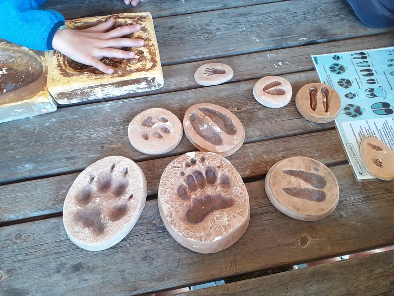 Animations estivales - Balade sur le Sentier du Fer et atelier "Empreintes d'animaux"
