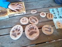 Animations estivales - Balade sur le Sentier du Fer et atelier "Empreintes d'an…