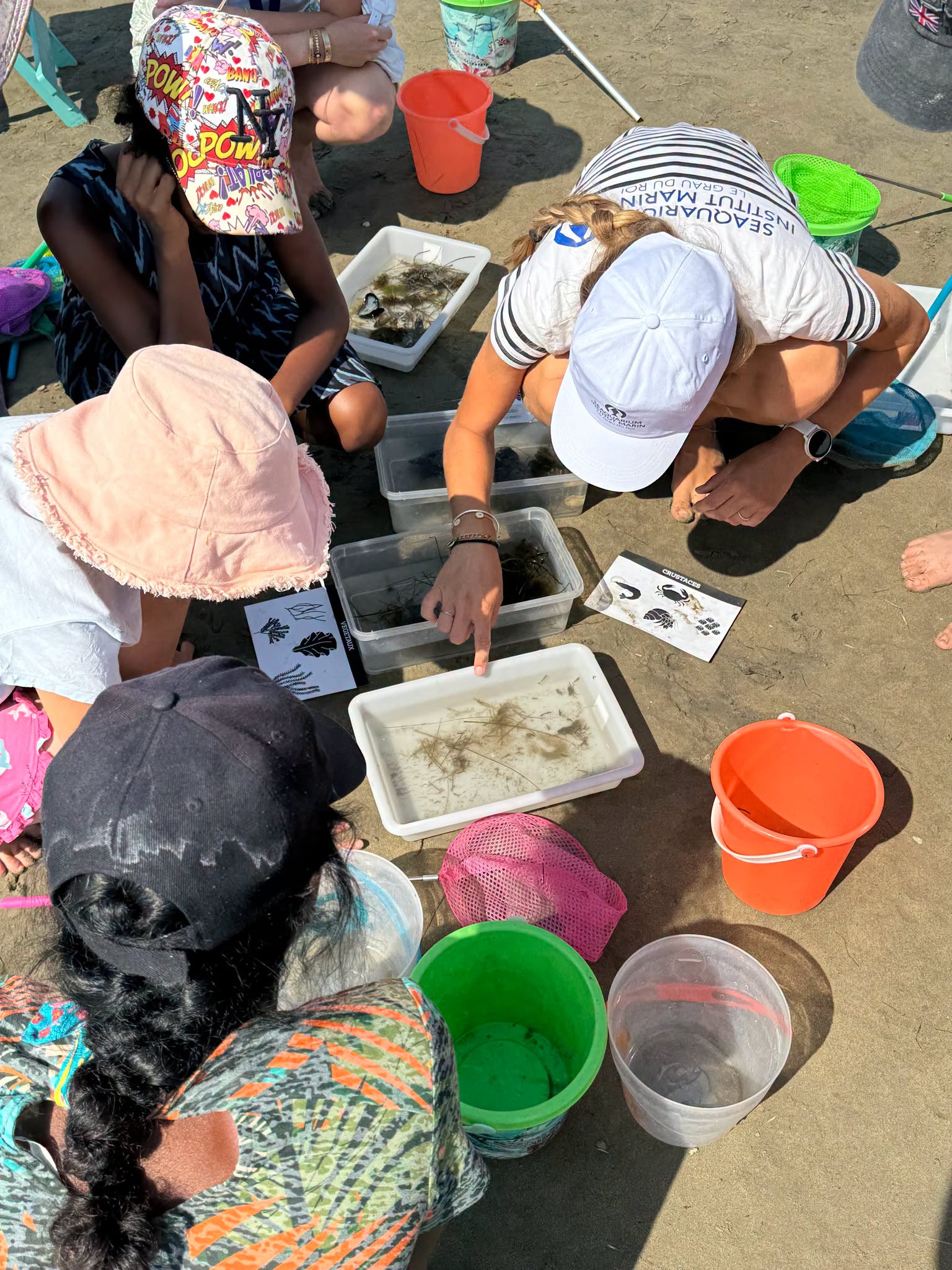 Découvrez la biodiversité du littoral