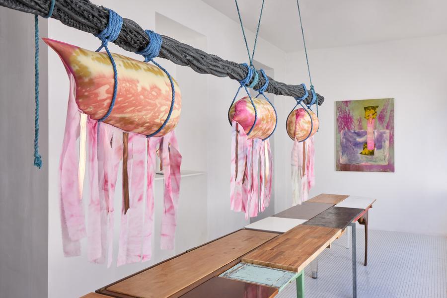 Exposition « Fuegophillia », d’Amandine Guruceaga_Rayol-Canadel sur Mer