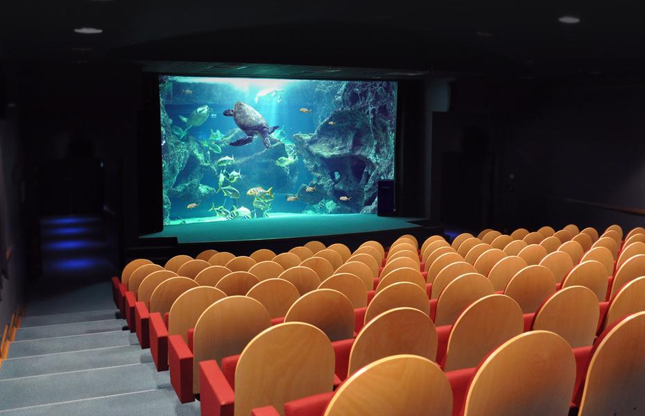 Amphithéâtre René Coutand Aquarium La Rochelle