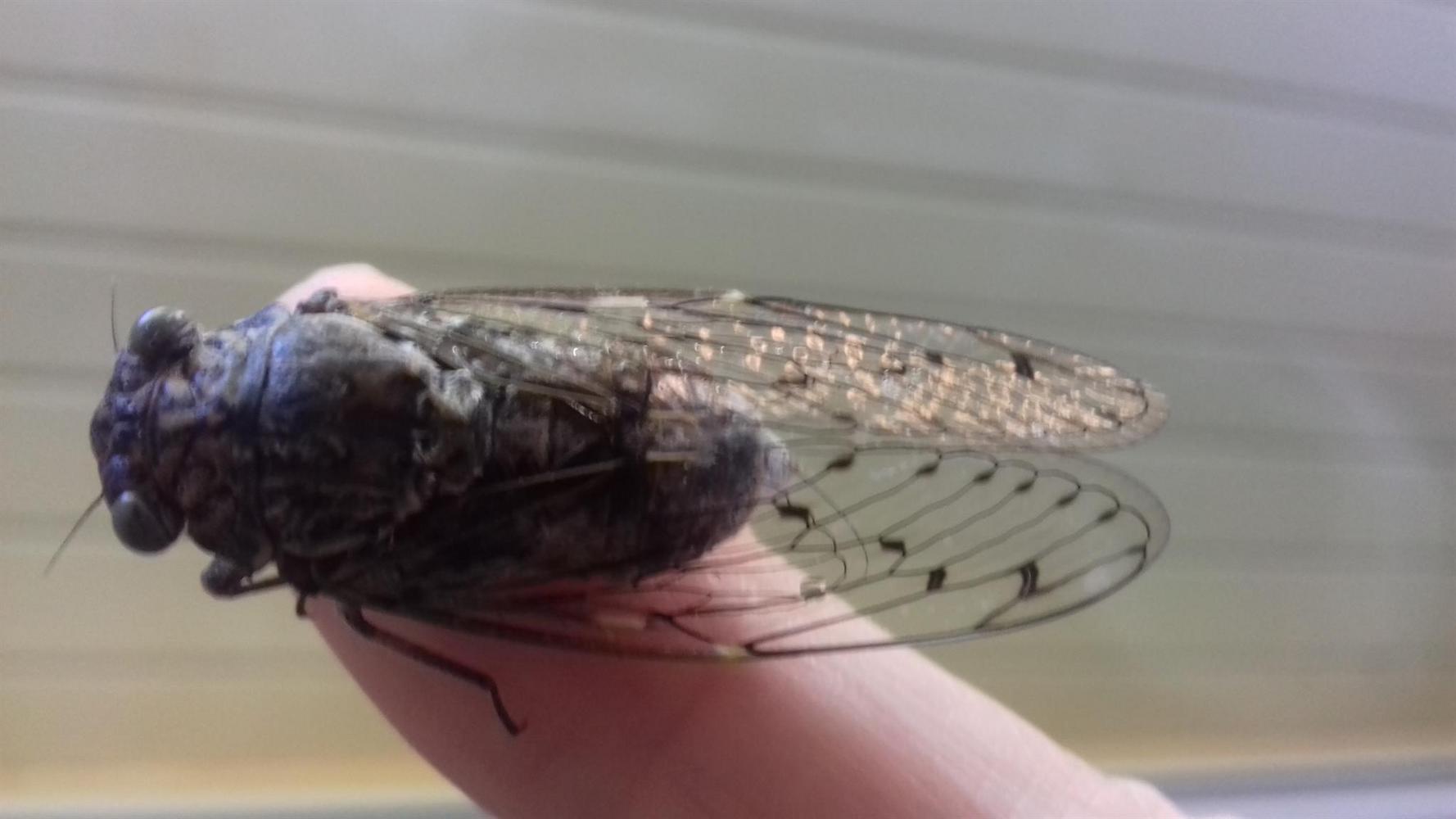 Le Clos Des Oliviers, Saint-Cannat - photo 6