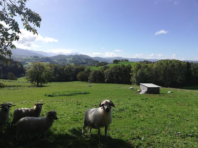 Le Château partagé_Dullin