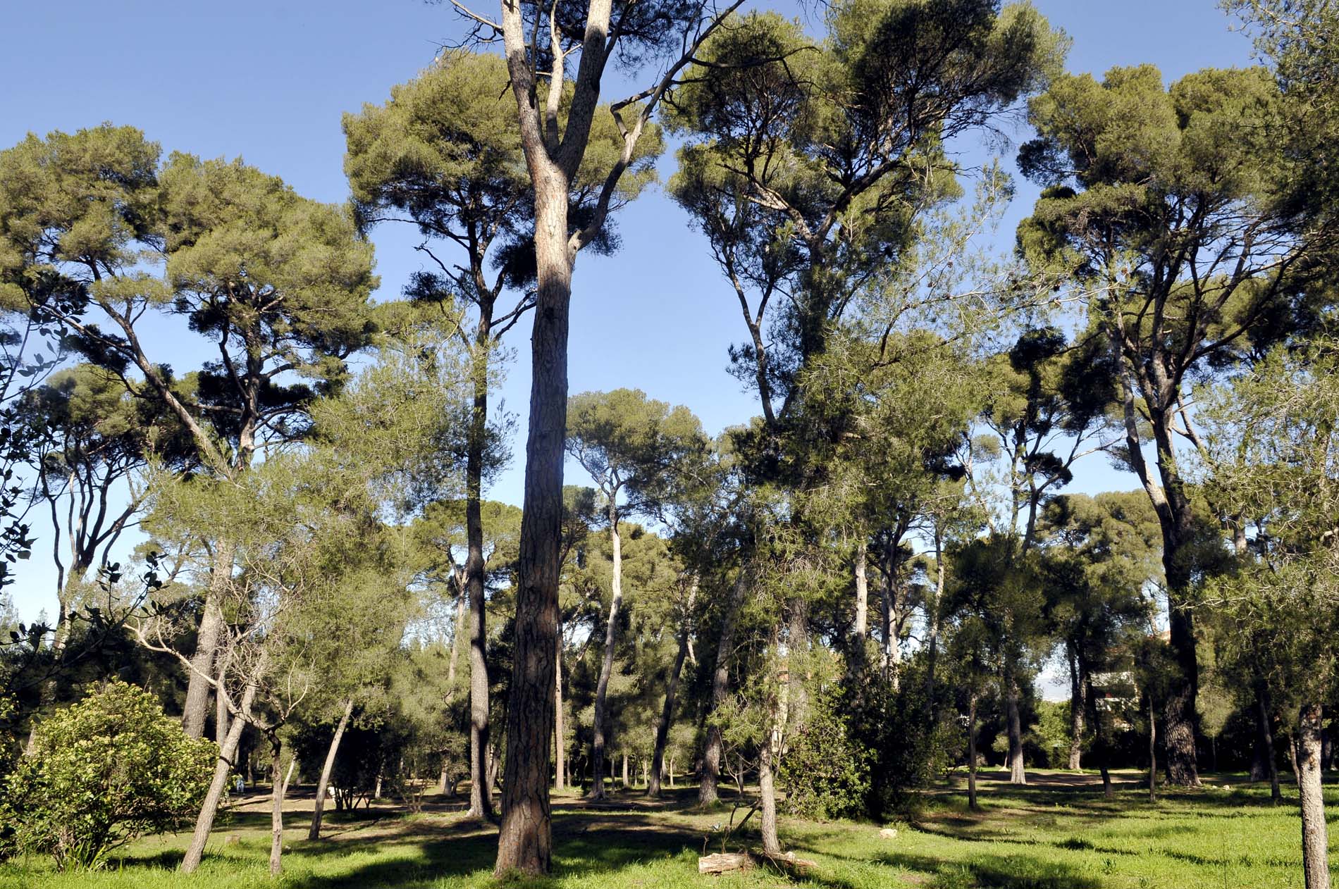 Parc de la Redonne - Ville de Marseille