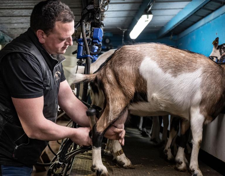 Ferme Hudry - Les Délices Savoyards