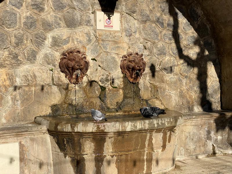 La Fontaine aux Lions_Ramatuelle
