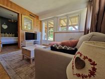 Salon lumineux de chalet tout confort avec canapé, TV, table basse, ameublement bois, portes-fenêtres et fenêtres