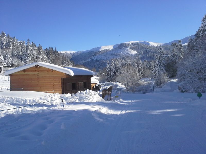 Alagnon Equestrian Center