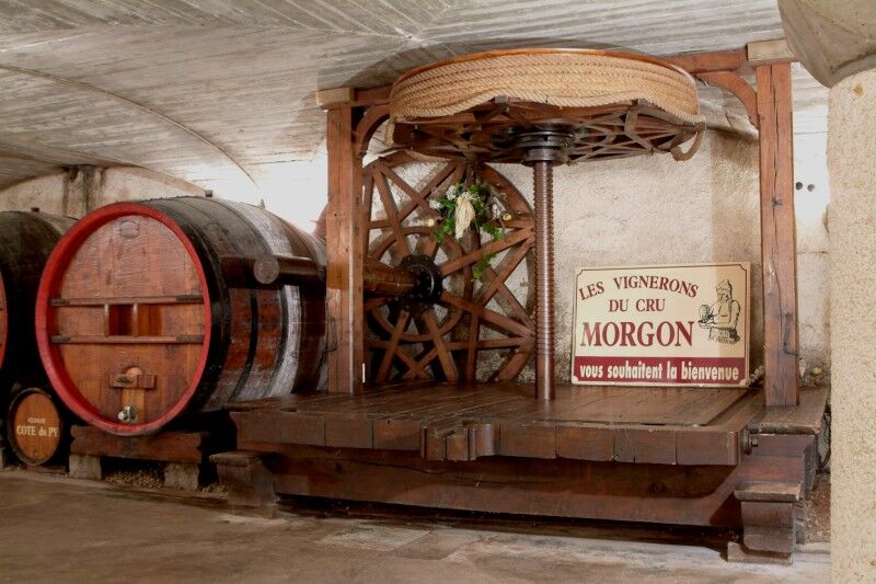 Caveau du Cru Morgon