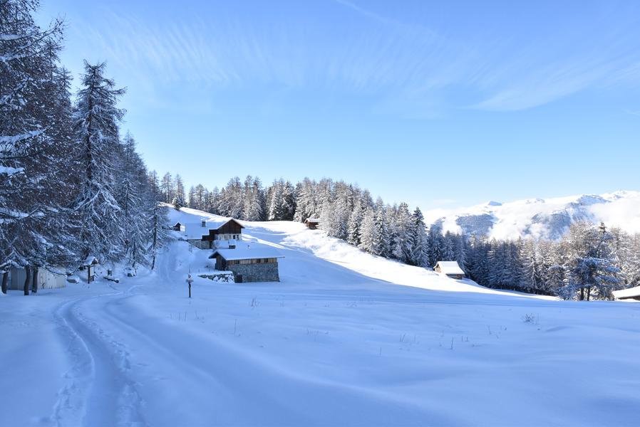 Itinéraire randonnée pédestre : Les Frasses_Montchavin-les-Coches