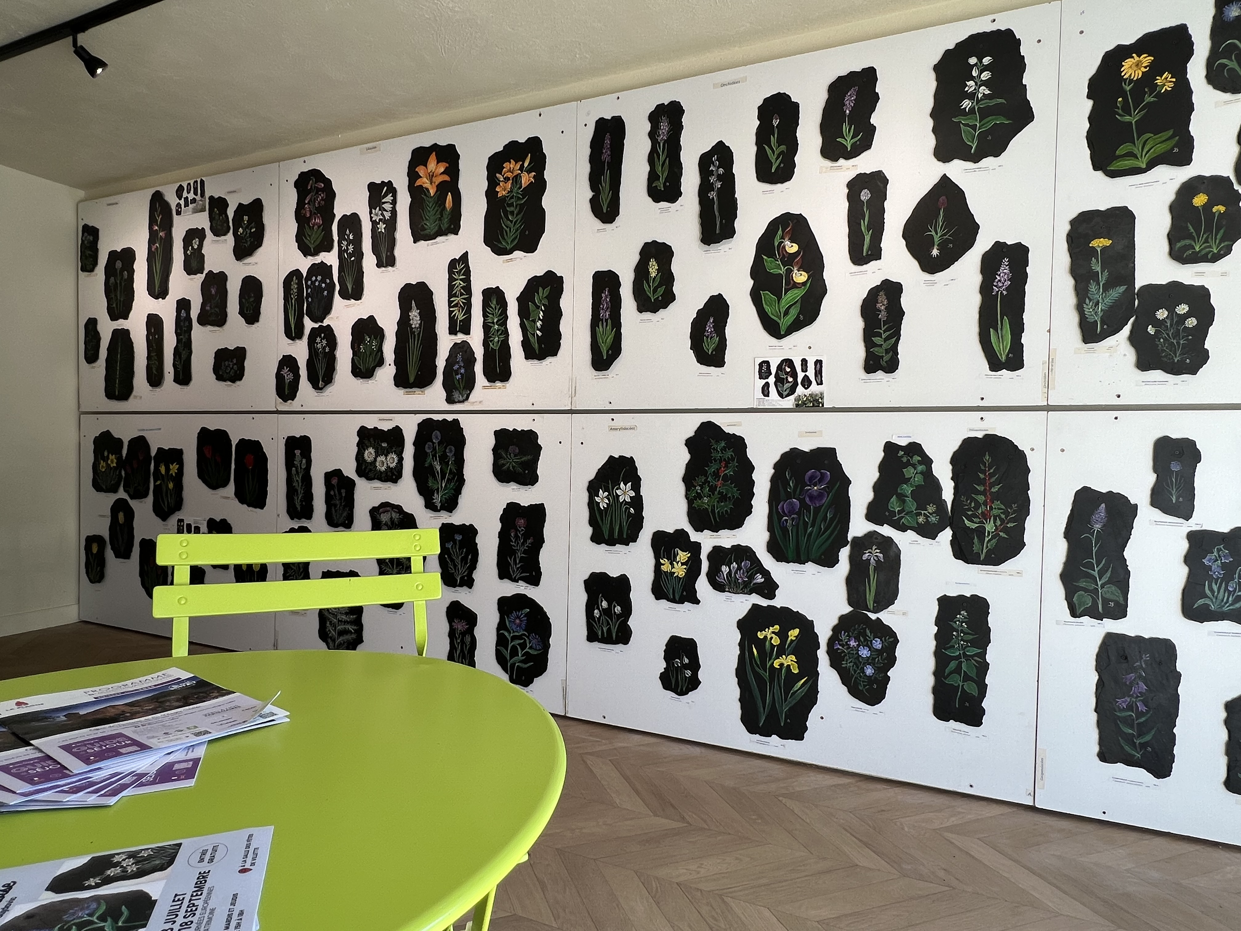 Exposition | Fleurs des Alpes peintes sur ardoise