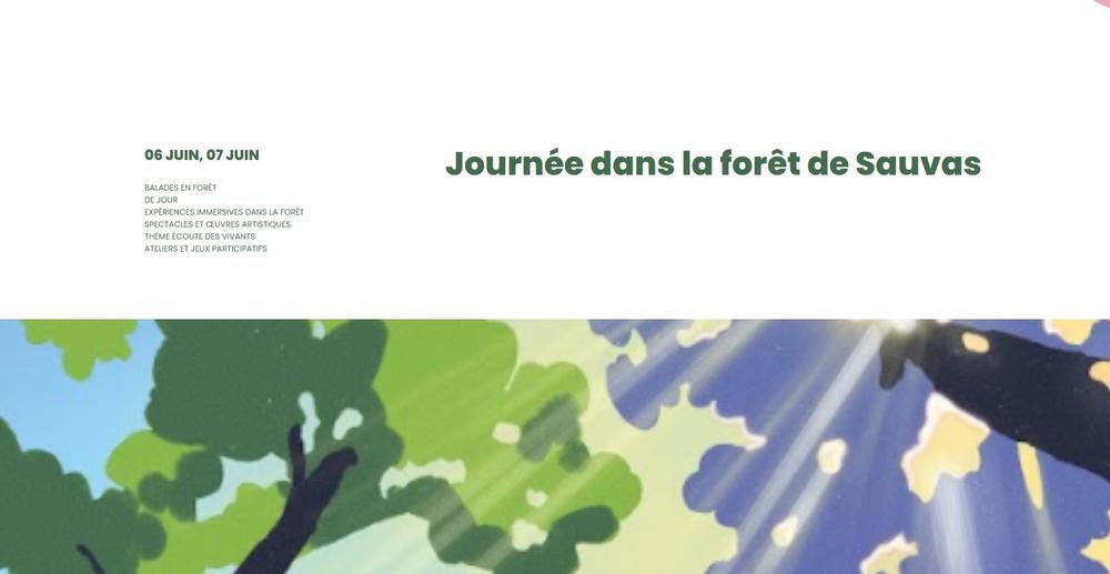 La nuit des forêts : Journée dans la forêt des Sauvas