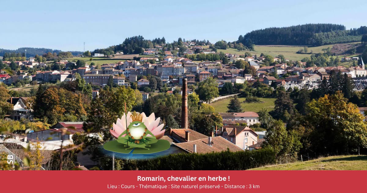 Les Gnolus - Romarin, chevalier en herbe !_Cours